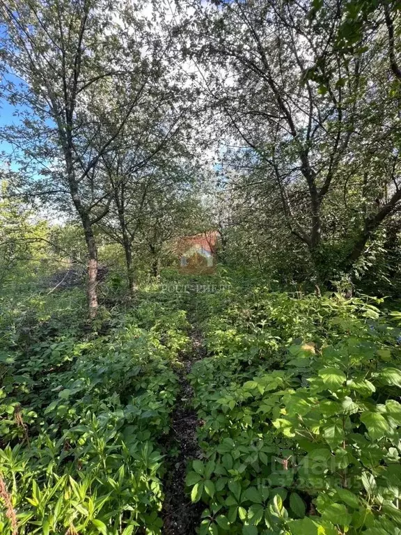 Участок в Саратовская область, Саратов Мичуринец-85 СНТ, 27 (9.0 сот.) - Фото 2