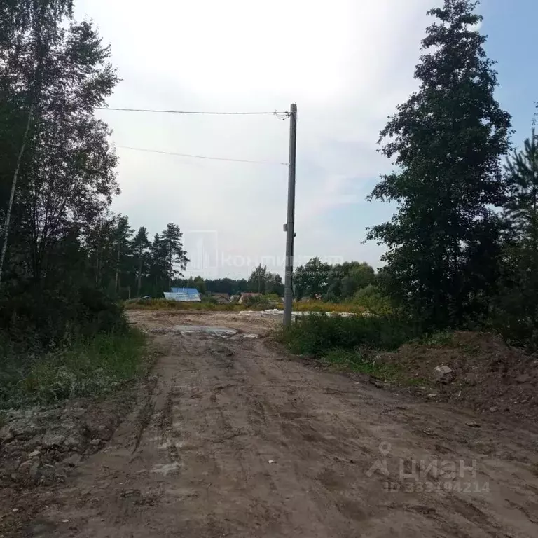 Участок в Владимирская область, Собинка ул. Любимая, 12 (10.0 сот.) - Фото 1