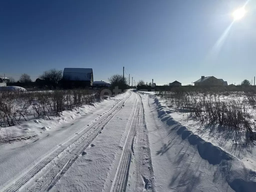 Участок в Брянская область, Брянский район, Новодарковичское с/пос, ... - Фото 2