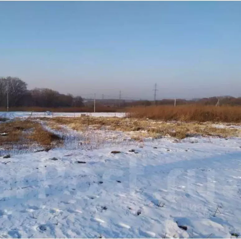 Участок в Нижегородская область, Лысково  (11.7 сот.) - Фото 1