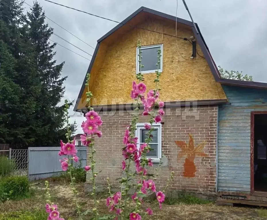 Дом в Новосибирская область, Коченевский район, Ясень СНТ  (40 м) - Фото 1