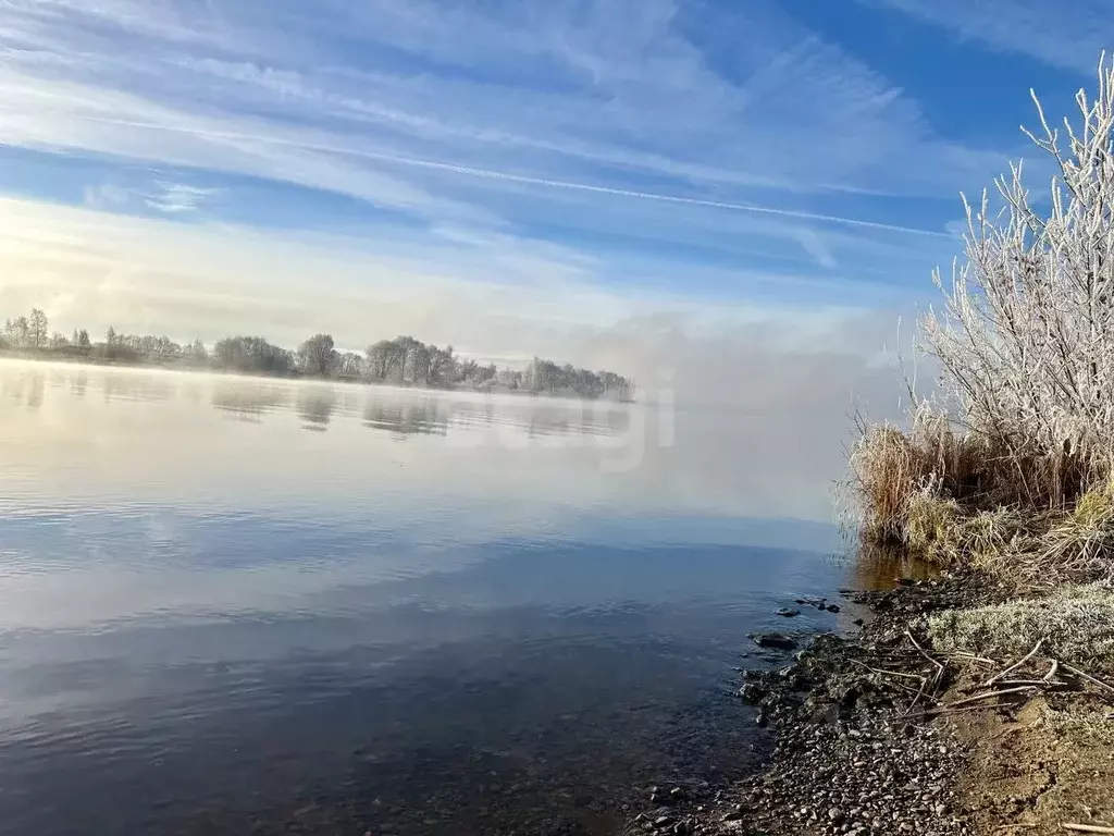 Участок в Ярославская область, Некрасовский муниципальный округ, с. ... - Фото 2