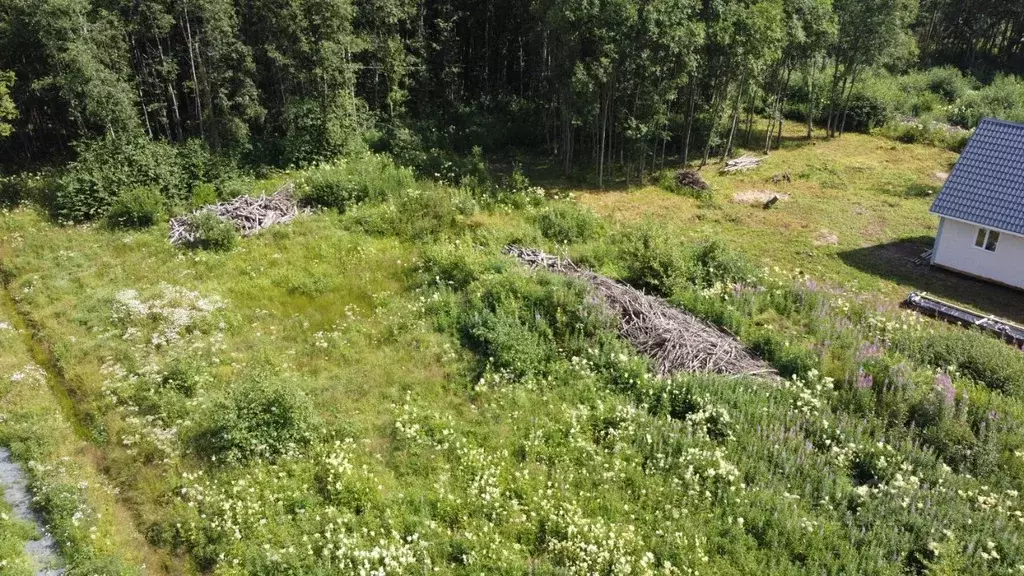 Участок в Карелия, Сортавала Гидрогородок мкр,  (14.92 сот.) - Фото 2