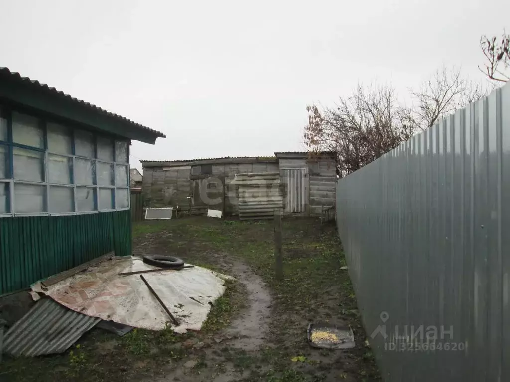 Дом в Саратовская область, Балашовский район, с. Тростянка ... - Фото 2