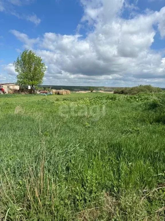 Участок в Ростовская область, Родионово-Несветайский район, ... - Фото 0