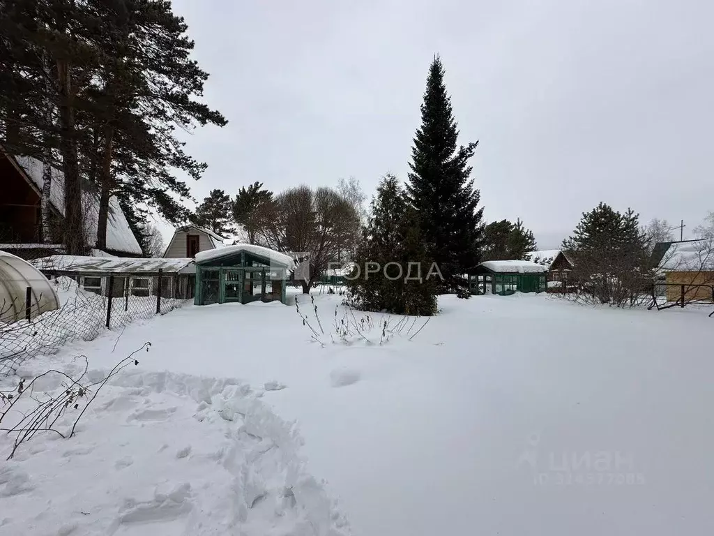 Участок в Новосибирская область, Тогучинский район, Транспортник ... - Фото 0