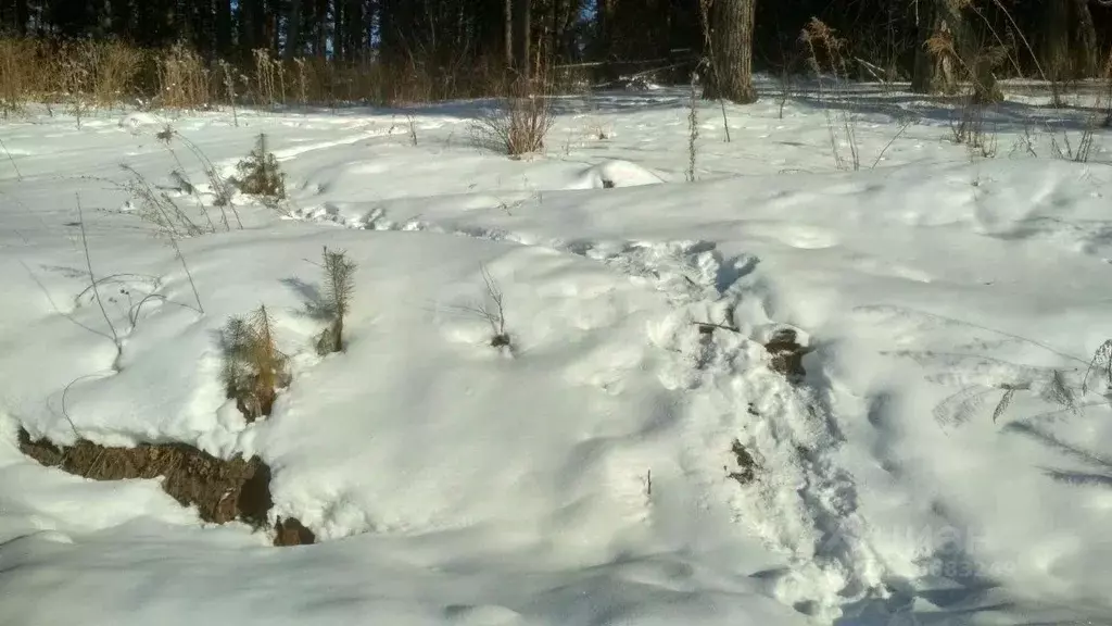 Участок в Алтай, Майминский район, с. Манжерок  (10.0 сот.) - Фото 1