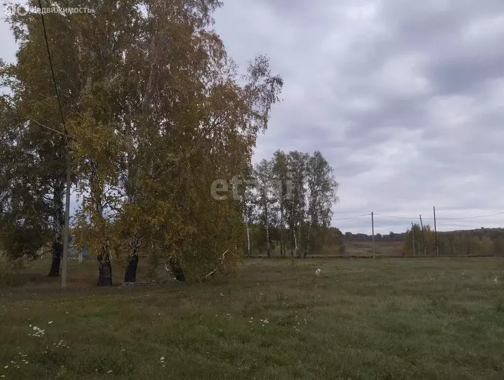 Участок в Новосибирский район, Верх-Тулинский сельсовет, СНТ Романтик ... - Фото 1