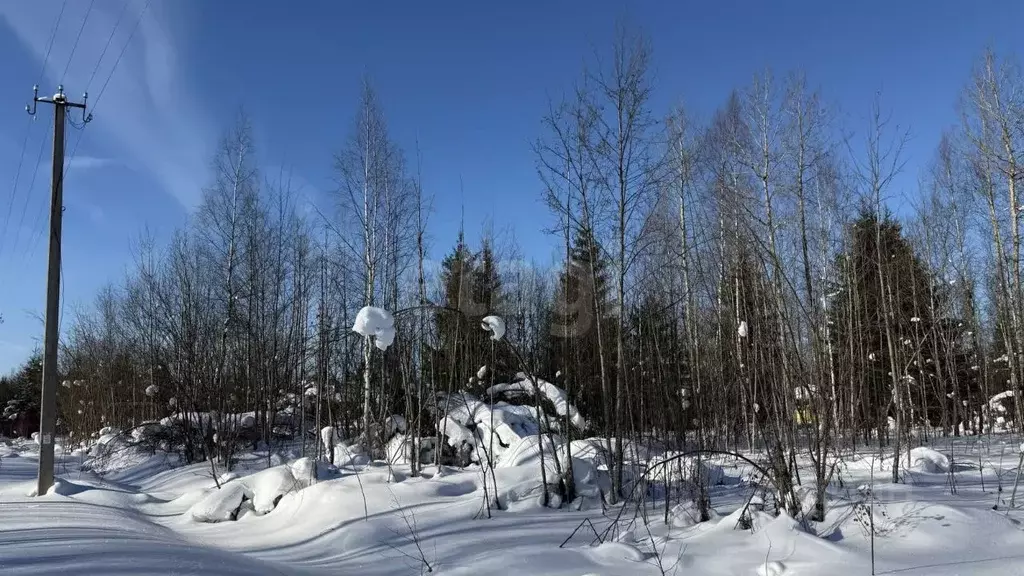 Участок в Ленинградская область, Киришский район, Кусинское с/пос, ... - Фото 1
