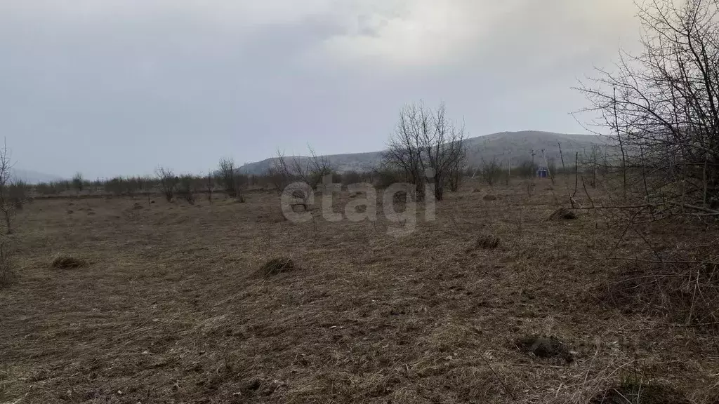 Участок в Алтай, Майминский район, с. Подгорное  (10.0 сот.) - Фото 0