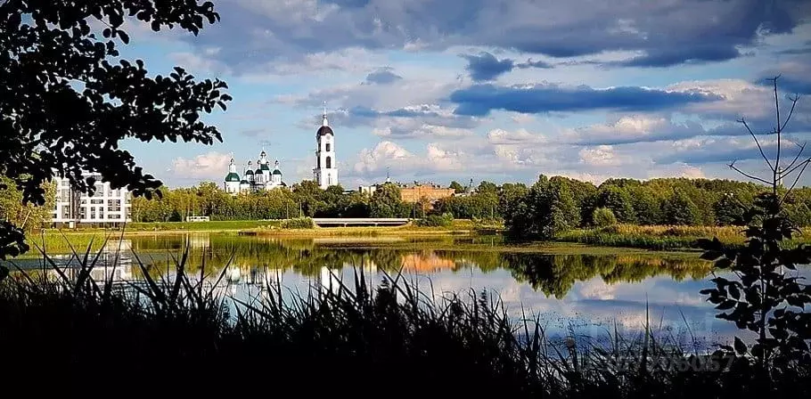 участок в нижегородская область, саров садовая ул, 14 (5.5 сот.) - Фото 0