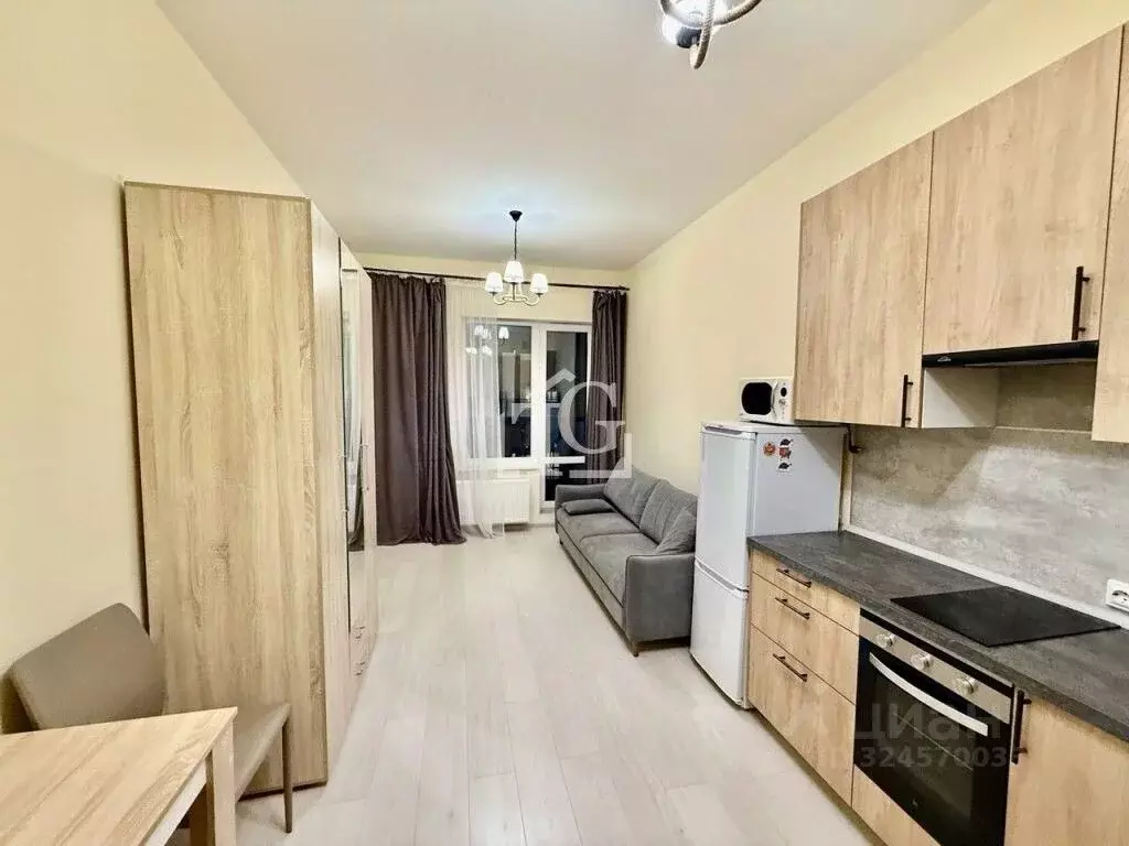 Студия Санкт-Петербург Светлановский просп., 8 (24.89 м) - Фото 2