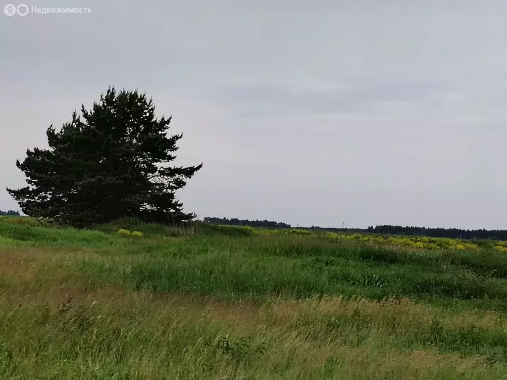 Участок в Курган, Хуторская улица (13 м) - Фото 0