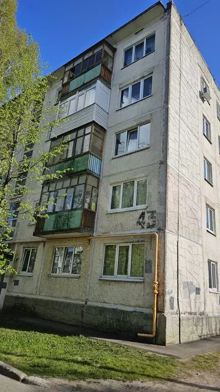 3-к. квартира, 59 м, 4/5 эт. - Фото 1