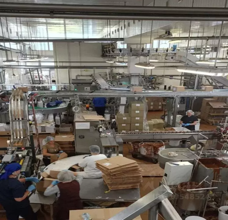 Производственное помещение в Пензенская область, Пенза Дорожная ул., ... - Фото 1