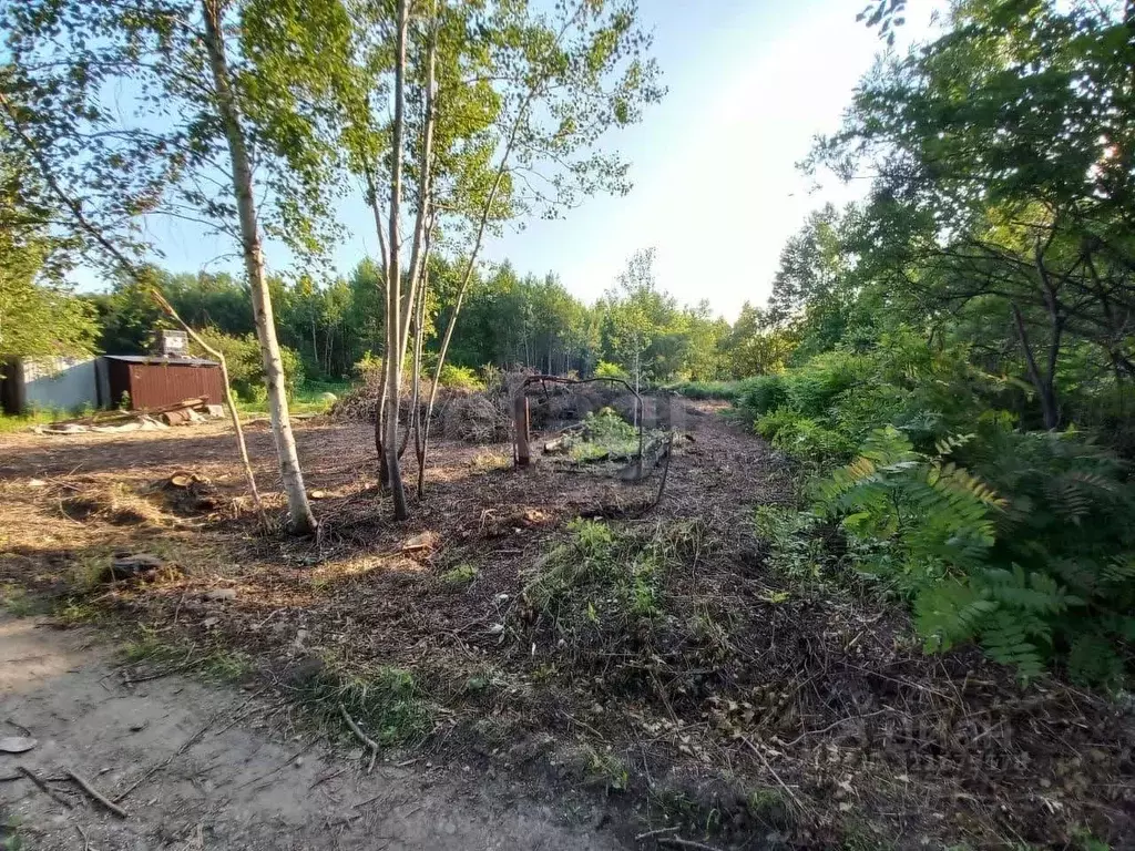 Участок в Хабаровский край, Хабаровский район, Зубровое СНТ 618 (8.0 ... - Фото 2