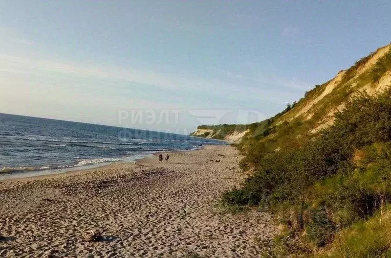 Участок в Калининградская область, Светлогорский городской округ, пос. ... - Фото 0