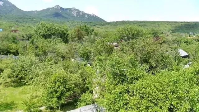 Участок 8,9 сот. (ИЖС) - Фото 1