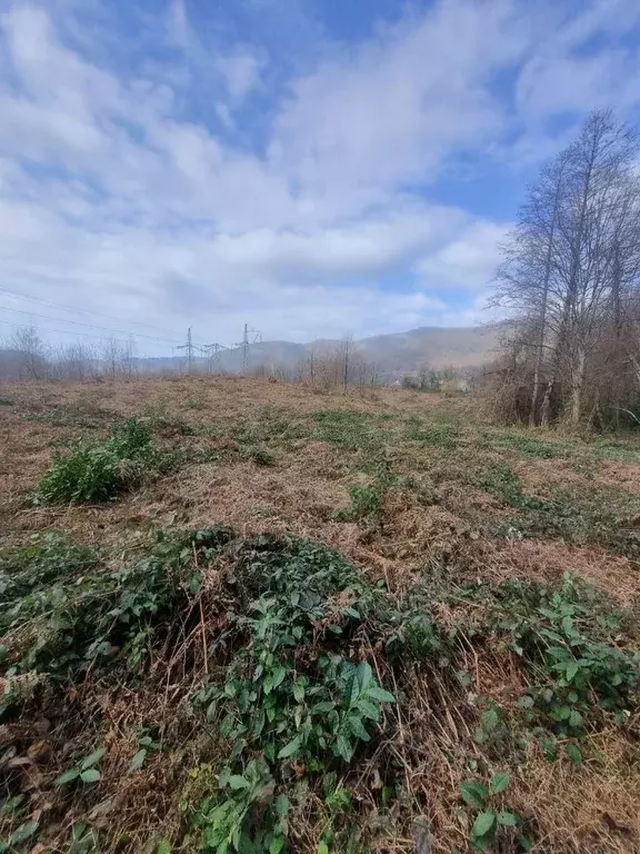 Участок в Краснодарский край, Сочи Монолит СТ, 10 (4.7 сот.) - Фото 2