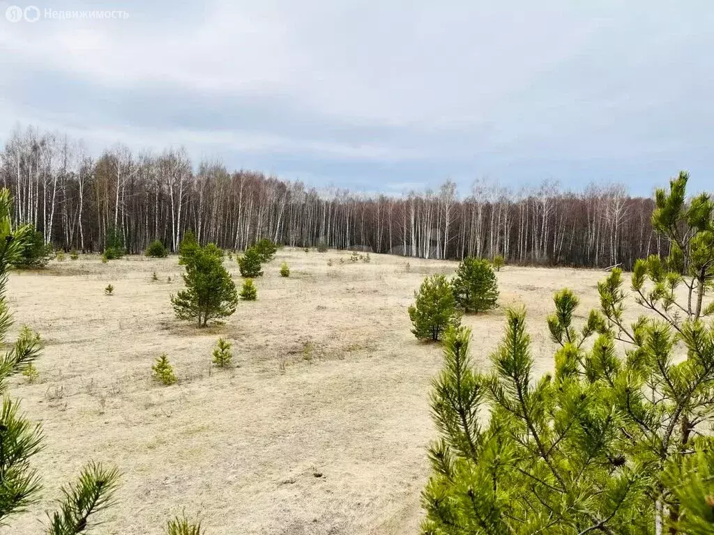 Участок в Нижегородская область, муниципальный округ Навашинский, село ... - Фото 2