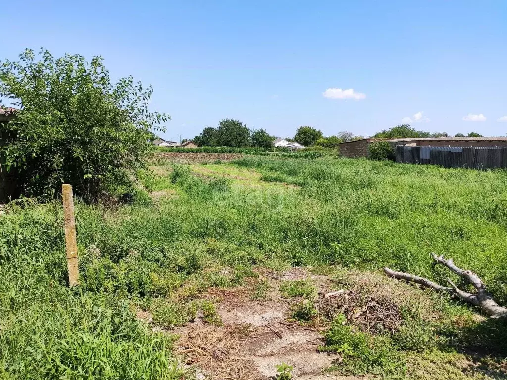 Участок в Крым, Кировский район, Абрикосовское с/пос, с. Матросовка ... - Фото 1