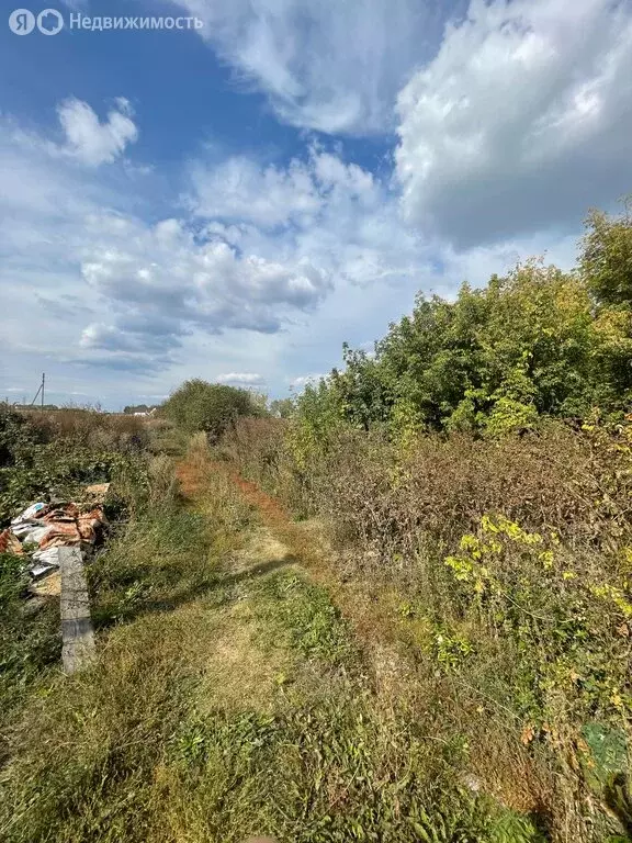 Участок в село Бессоновка, улица Большой Колояр, 196 (26 м) - Фото 0