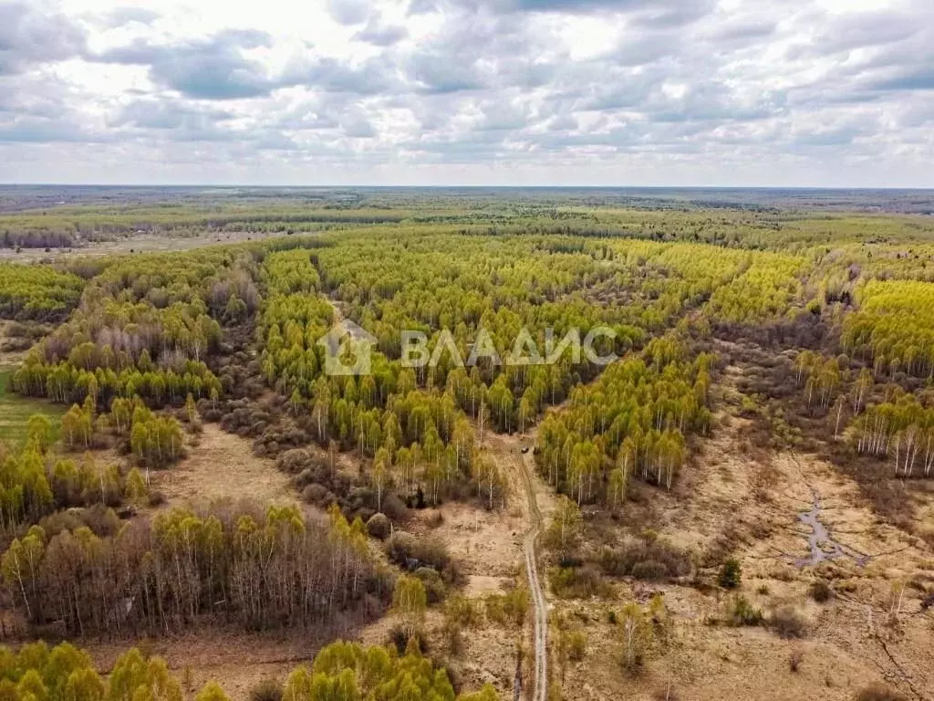 Участок в Владимирская область, Судогодский район, Головинское ... - Фото 1