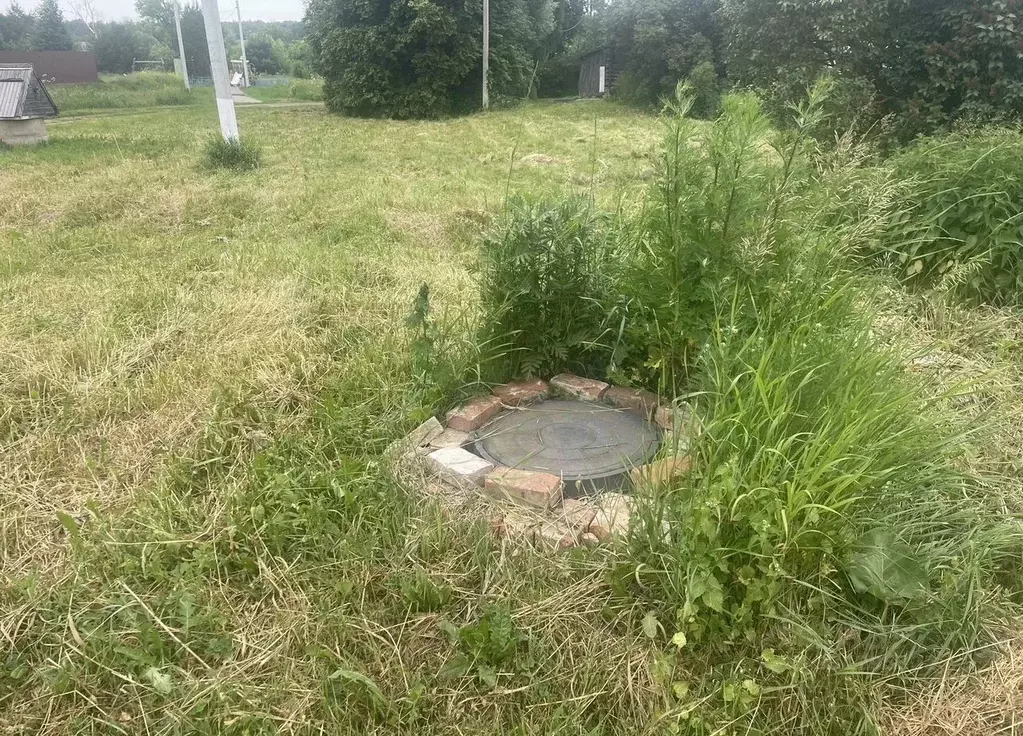 Участок в Московская область, Кашира городской округ, д. Острога  ... - Фото 2