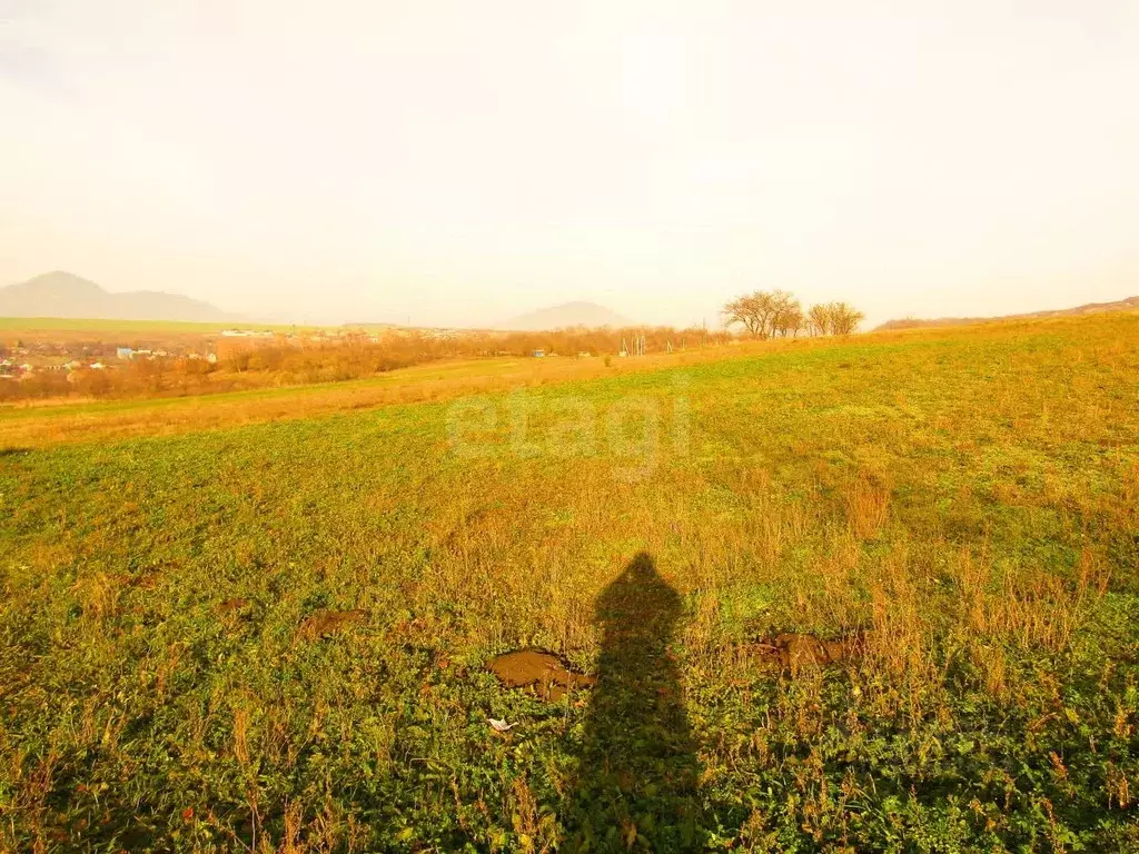 Участок в Ставропольский край, Предгорный муниципальный округ, с. Юца  ... - Фото 1
