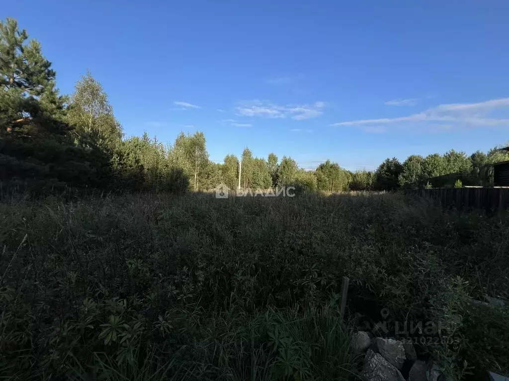 Участок в Владимирская область, Ковровский район, Новосельское с/пос, ... - Фото 1
