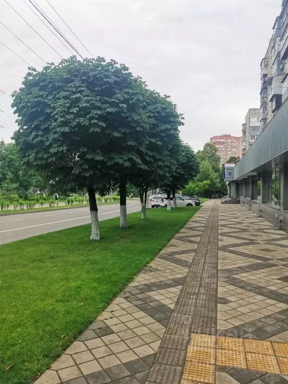3-к кв. Краснодарский край, Краснодар Фестивальный мкр, ул. Яна ... - Фото 1