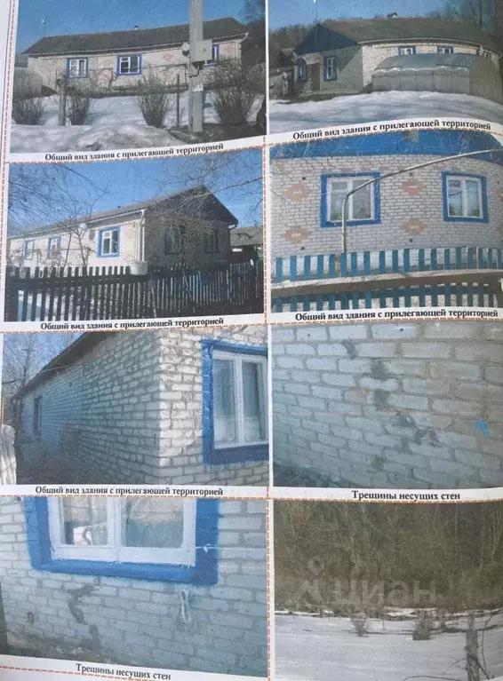 Помещение свободного назначения в Брянская область, Красногорское ... - Фото 1