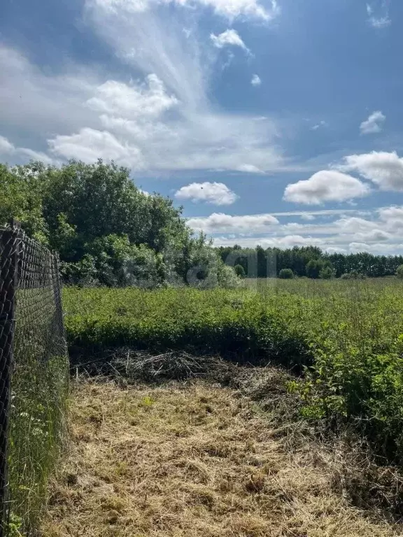 Участок в Калининградская область, Зеленоградский муниципальный округ, ... - Фото 2