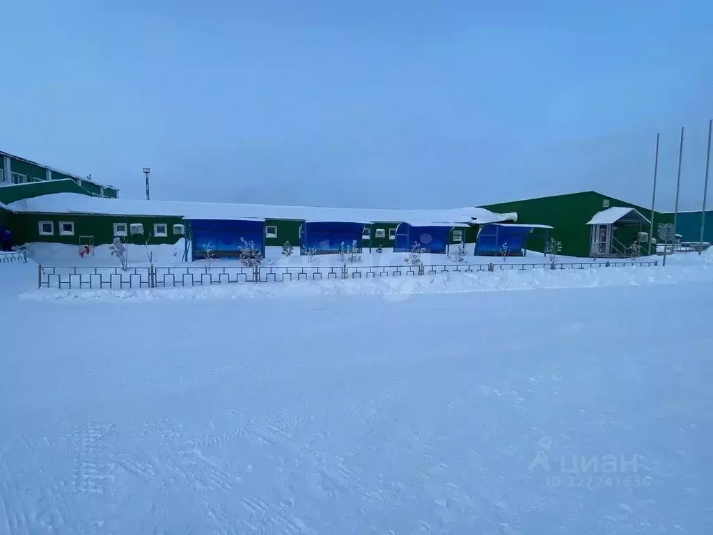 Офис в Ямало-Ненецкий АО, Новый Уренгой ул. Промысловая, 45 (252 м) - Фото 1