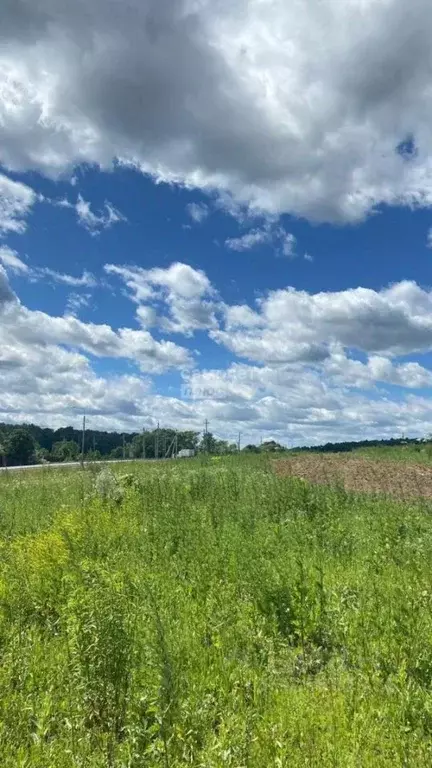 Участок в Москва № 51 кв-л,  (10.0 сот.) - Фото 1