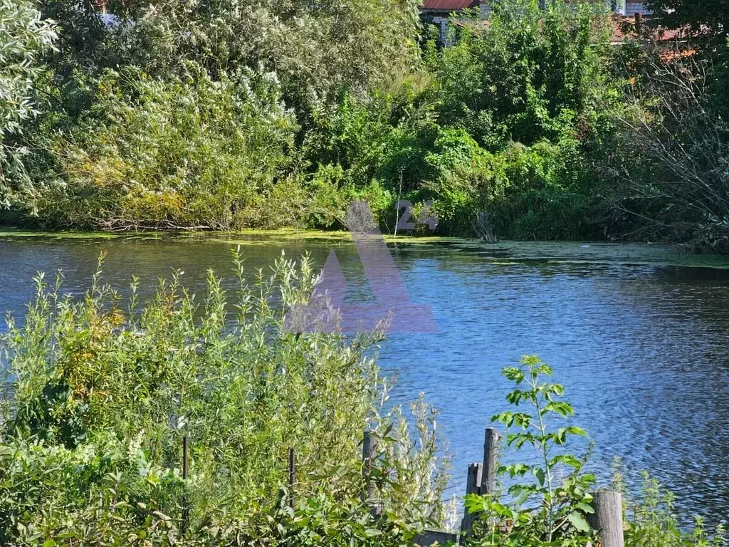 Участок в Алтайский край, Барнаул городской округ, с. Лебяжье ул. ... - Фото 0