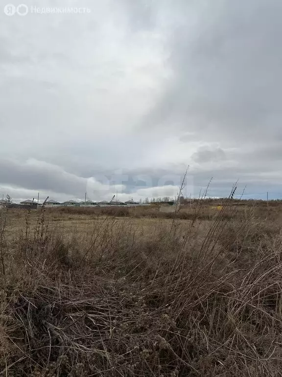 Участок в Челябинская область, Чебаркульский муниципальный округ, ... - Фото 2