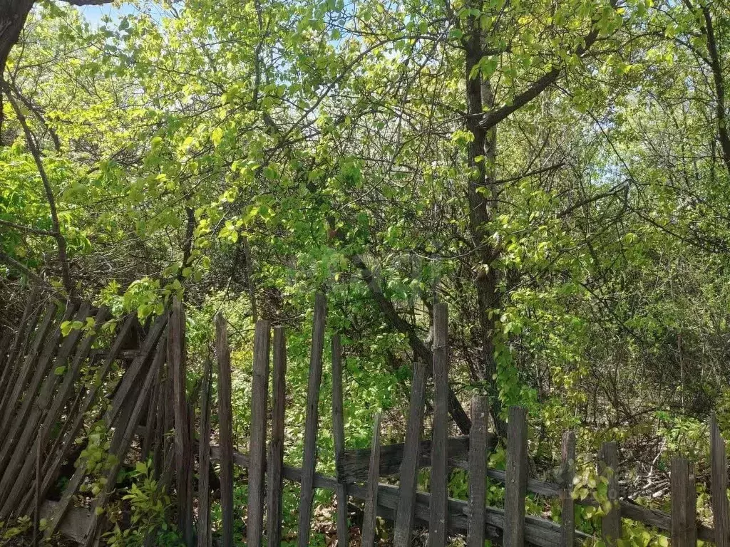 Участок в Амурская область, Благовещенск Василек СТ,  (7.99 сот.) - Фото 0