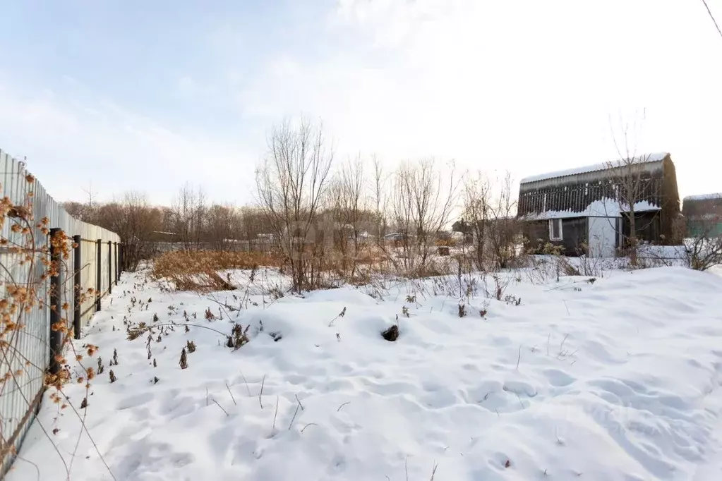 Участок в Хабаровский край, Хабаровский район, Полесье СНТ 132/1 (6.45 ... - Фото 2
