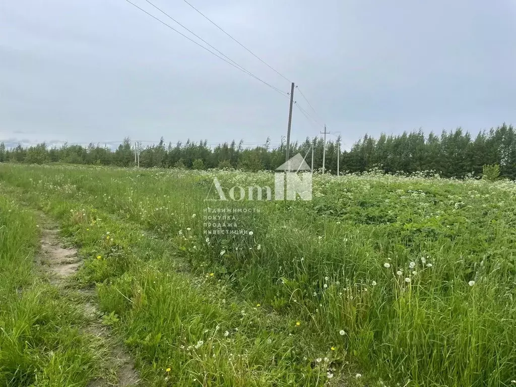 Участок в Ленинградская область, Ломоносовский район, Копорское с/пос, ... - Фото 1