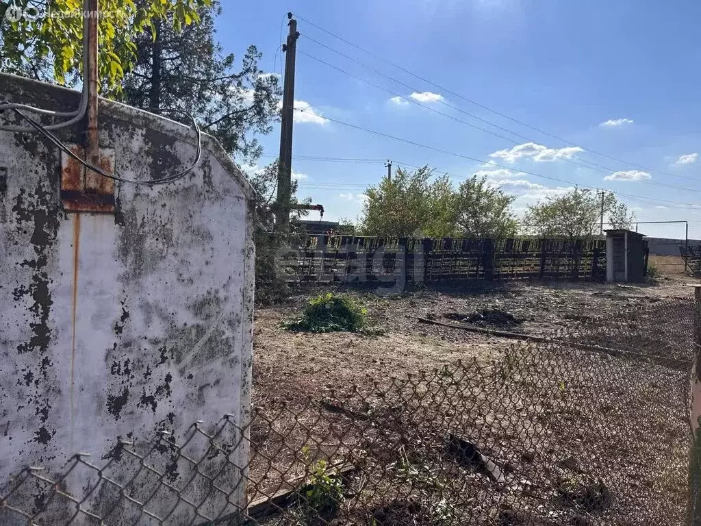 Участок в Мясниковский район, Краснокрымское сельское поселение, СНТ ... - Фото 1