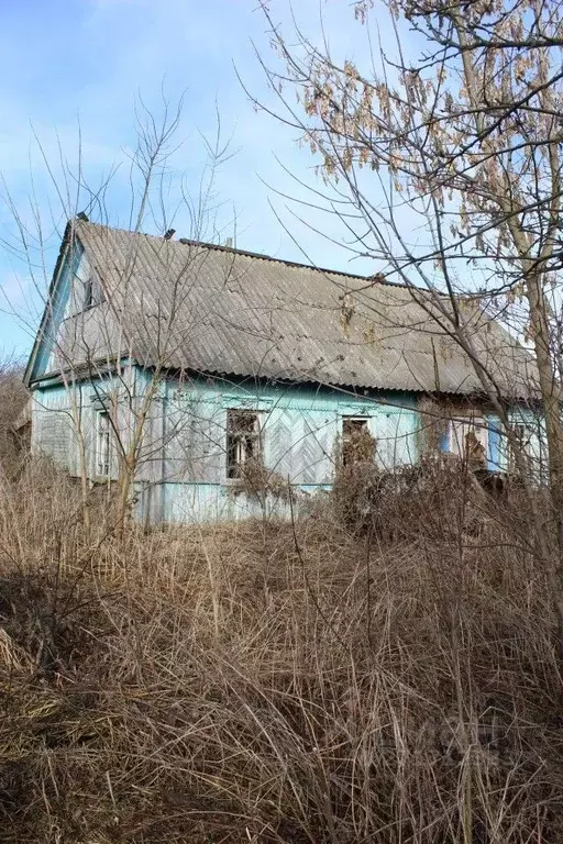 Дом в Брянская область, Навлинский район, Бяковское с/пос, д. Селище ... - Фото 0