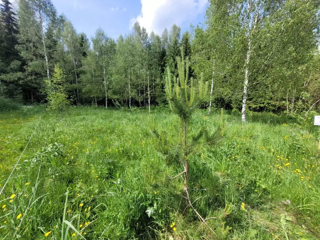 Участок в Московская область, Клин городской округ, Клинские Сады дп ... - Фото 1
