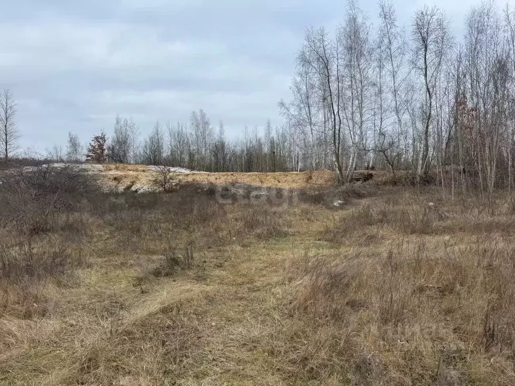 Участок в Курская область, Курский район, Камышинский сельсовет, ... - Фото 1