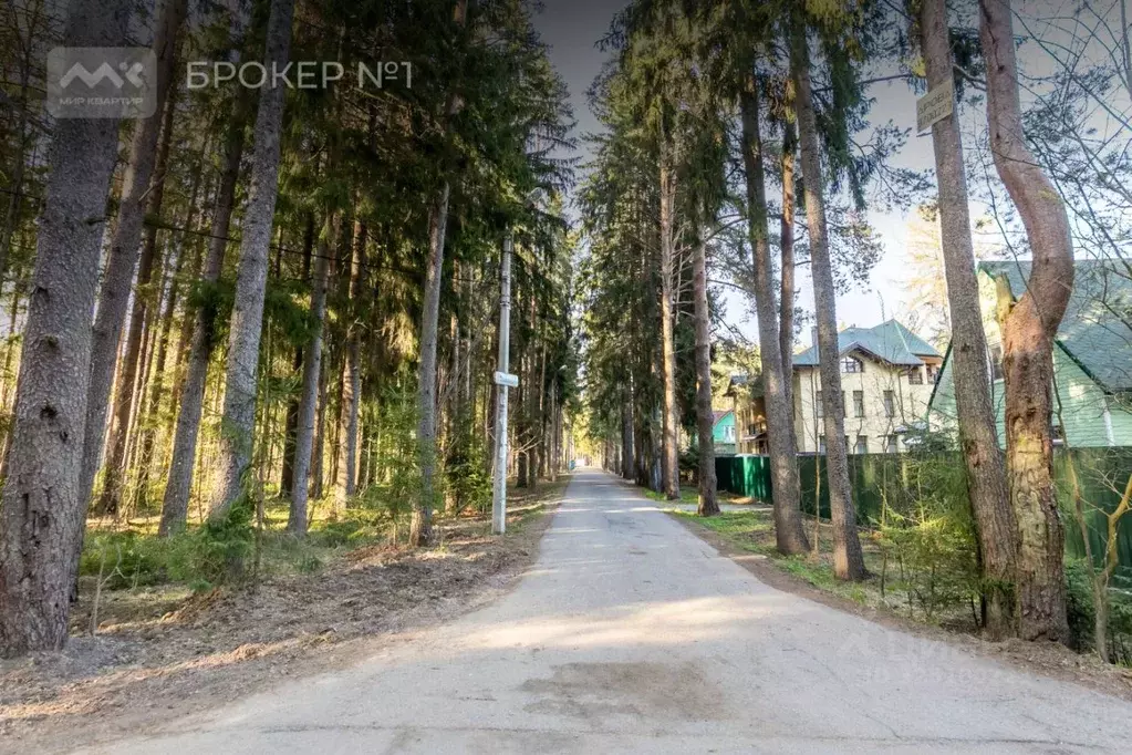 Участок в Санкт-Петербург, Санкт-Петербург, Зеленогорск ул. 1-я ... - Фото 2