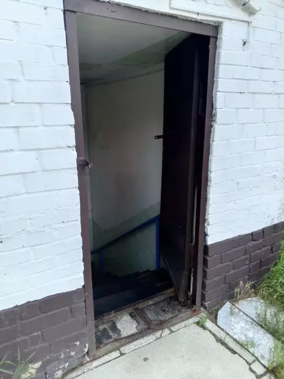 Помещение свободного назначения в Челябинская область, Кыштым ул. ... - Фото 1