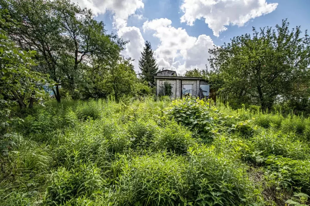 Участок в Нижегородская область, Нижний Новгород Яблоко СНТ, 179 (5.3 ... - Фото 0