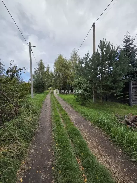 Участок в Калининградская область, пос. Приморье пер. Сиреневый, 9 ... - Фото 2