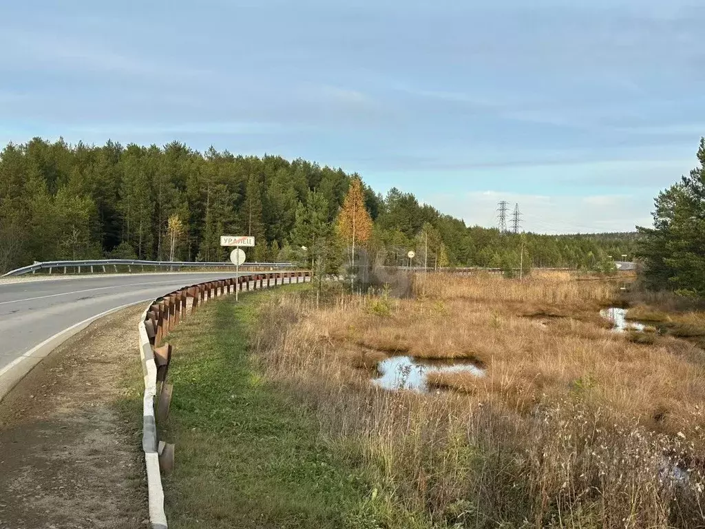 Участок в Свердловская область, Нижний Тагил муниципальный округ, пос. ... - Фото 2