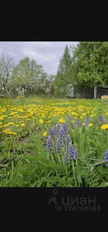 Дом в Башкортостан, Уфимский район, Дмитриевский сельсовет, Ромашка ... - Фото 2